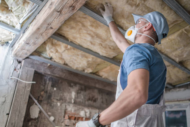 Best Cellulose Insulation in Independence, OH